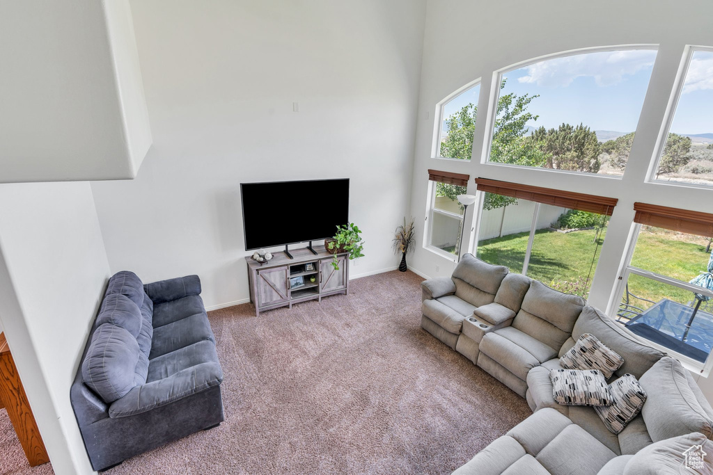 Living area featuring a towering ceiling and carpet