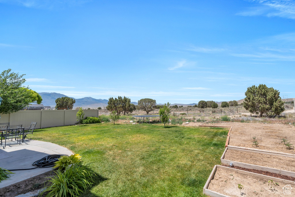 View of yard featuring a vegetable garden, a patio, a mountain view, and a trampoline