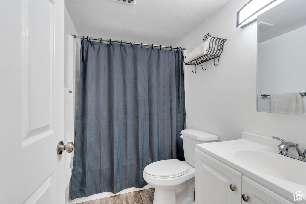 Bathroom featuring vanity, wood finished floors, and curtained shower