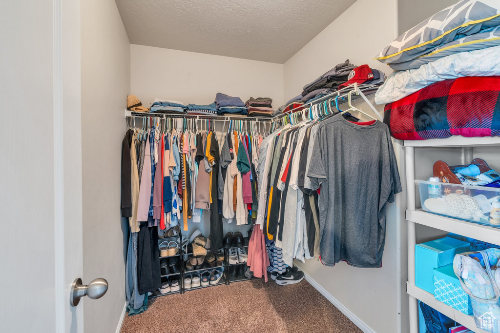 Spacious closet with carpet