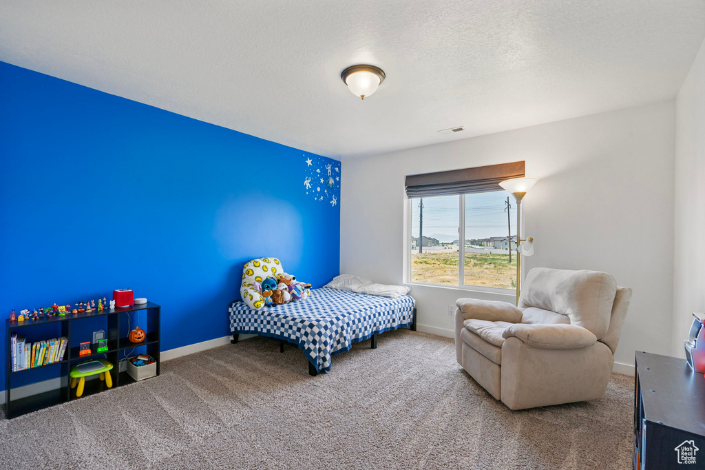 Carpeted bedroom with baseboards and a textured ceiling