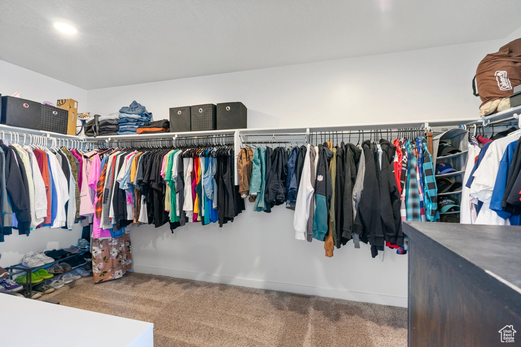 Spacious closet featuring carpet flooring