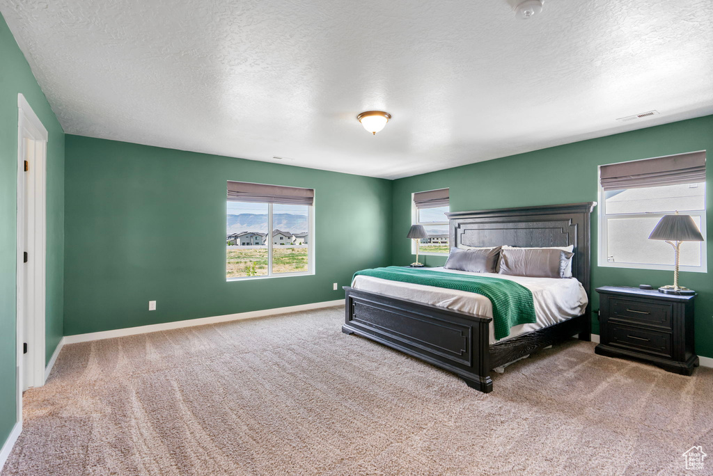 Carpeted bedroom with a textured ceiling and baseboards