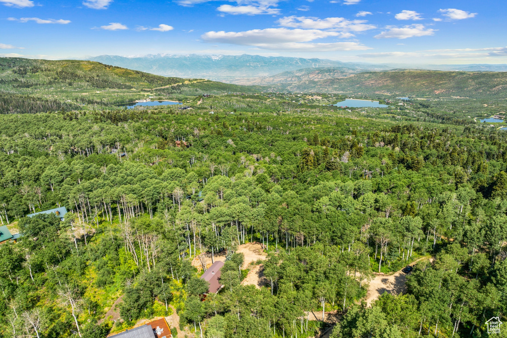 Aerial view of a forest and a water and mountain view