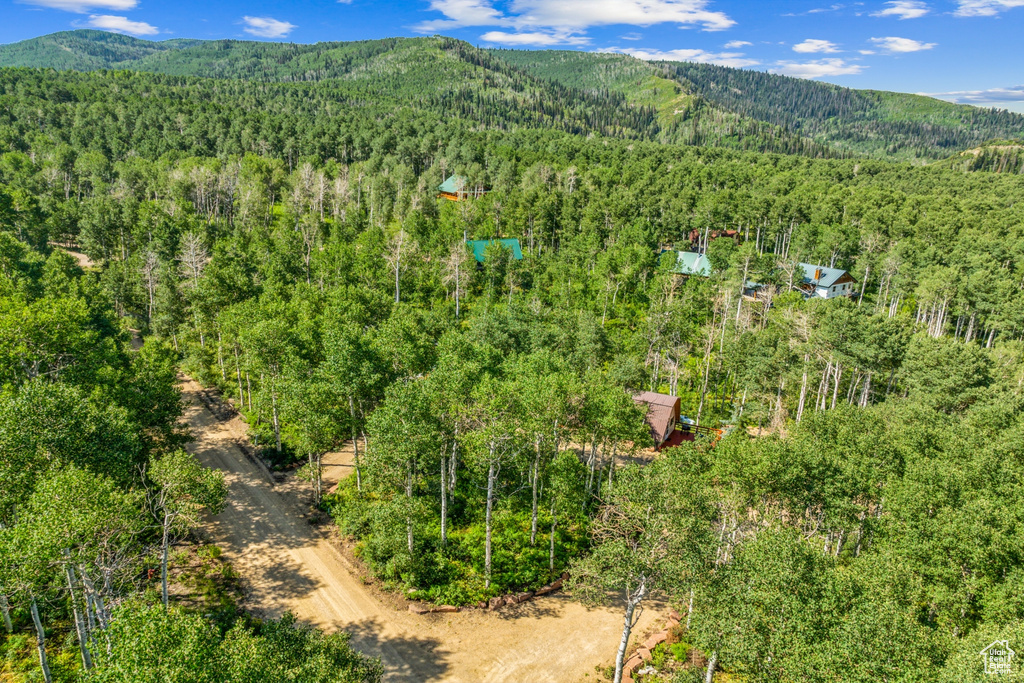 Aerial view of a heavily wooded area