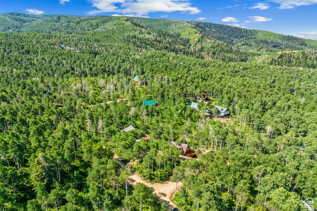 Bird's eye view of a heavily wooded area and a mountainous background