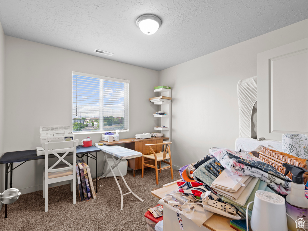 Office area with carpet flooring and a textured ceiling