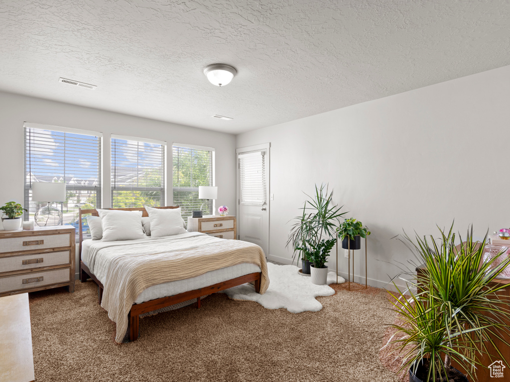 Carpeted bedroom featuring multiple windows and a textured ceiling
