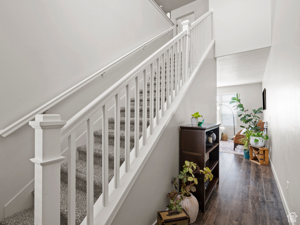 Stairway with wood-type flooring