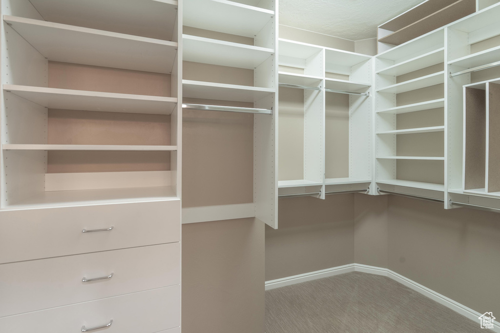 Walk in closet featuring carpet flooring