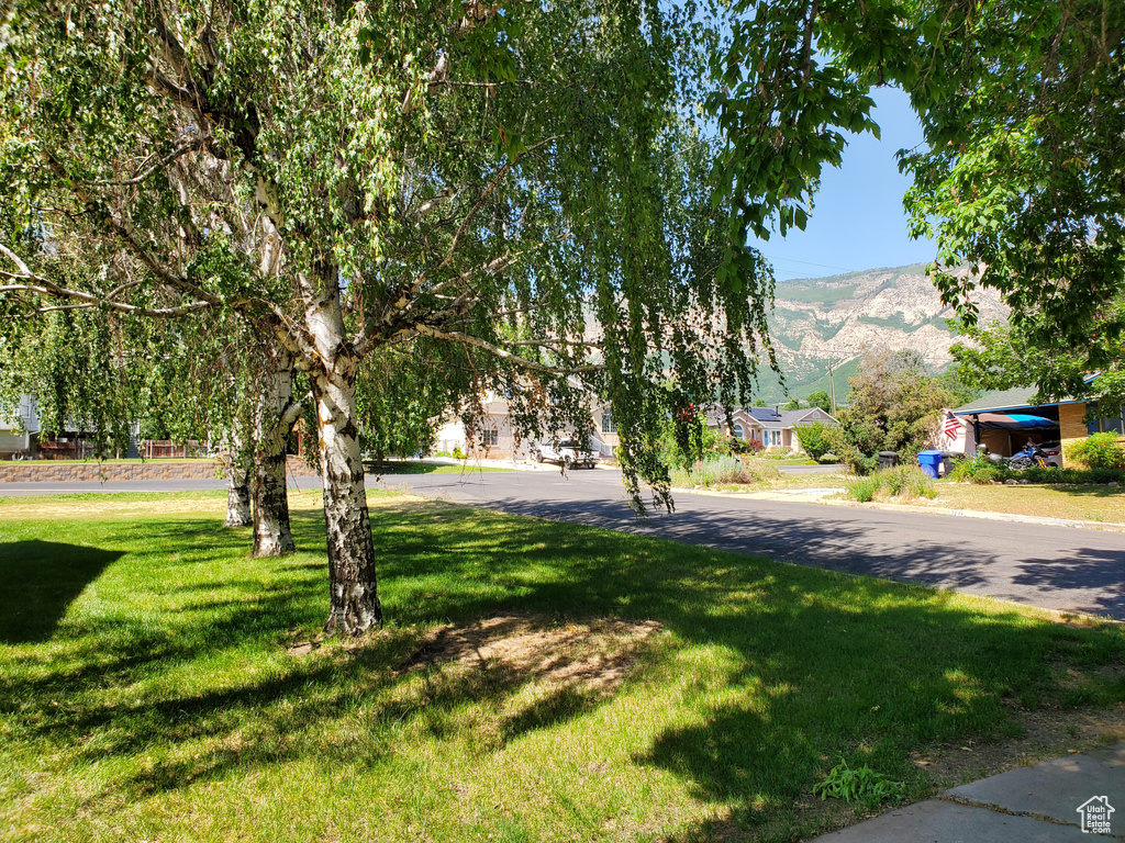 View of green lawn with a mountain view