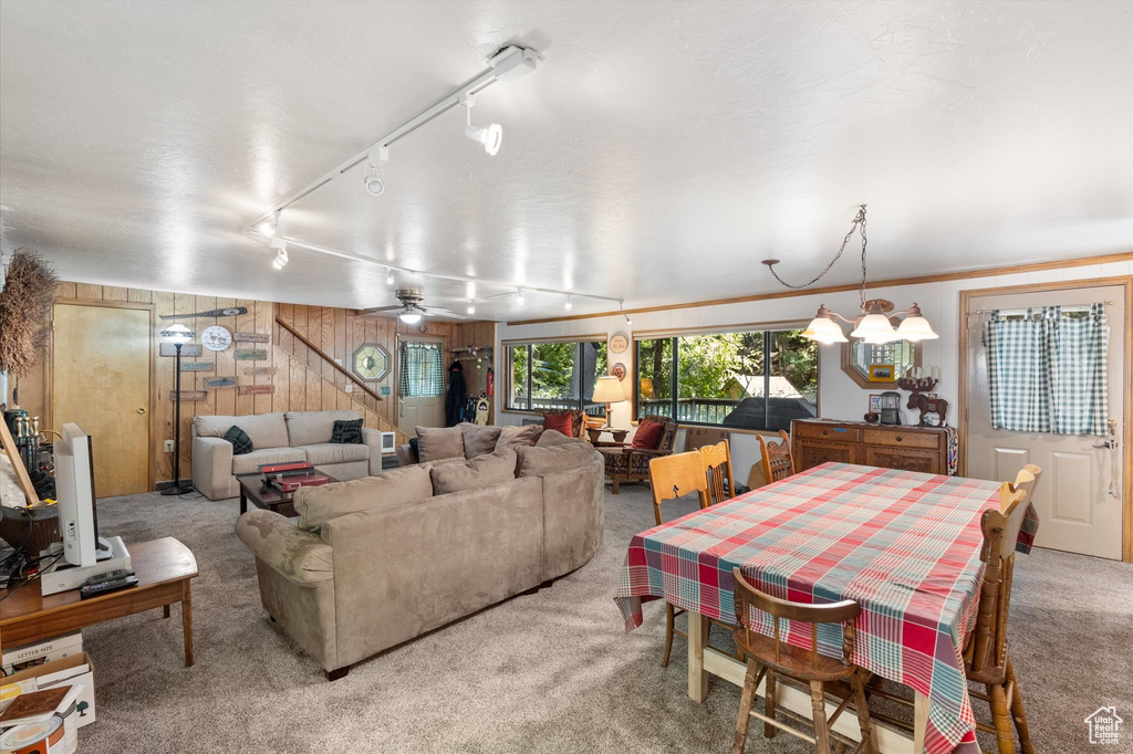 Carpeted living area with wood walls, rail lighting, and a ceiling fan