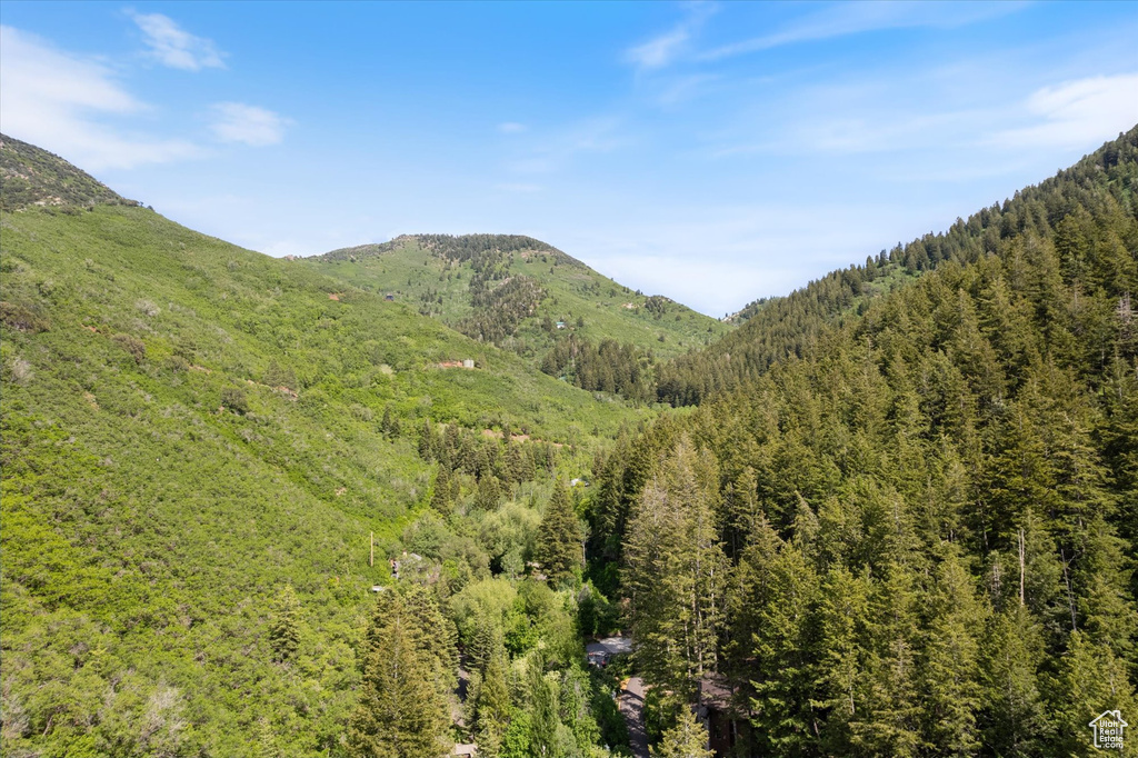 View of mountain background featuring a forest