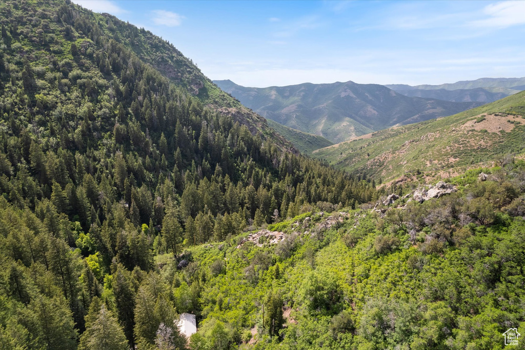 View of mountain backdrop with a forest