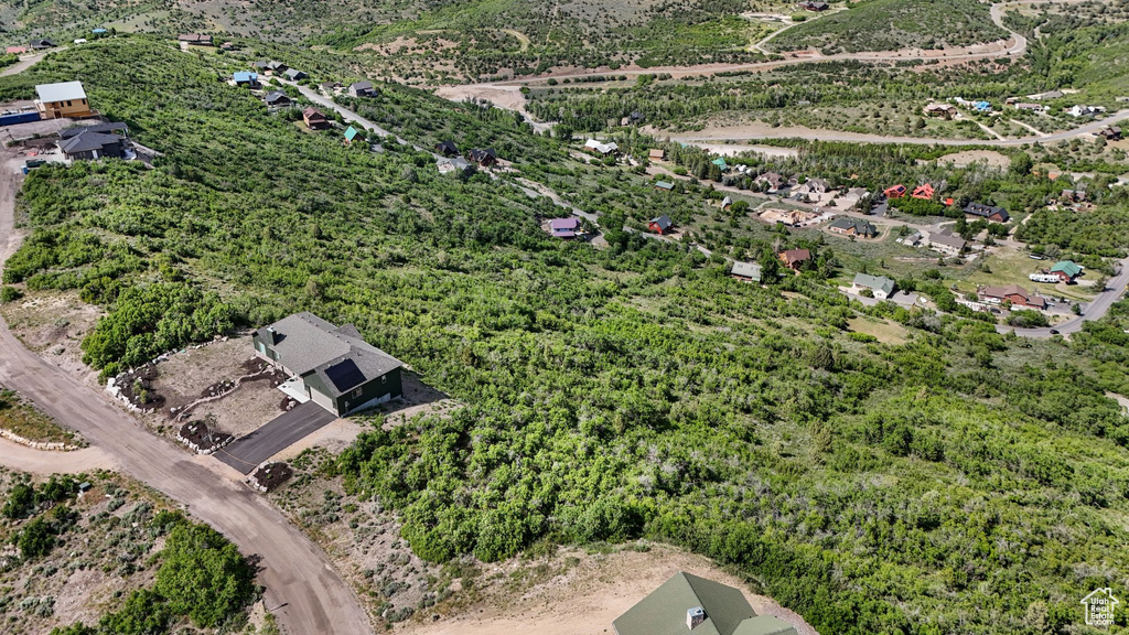 Bird\\\'s eye view