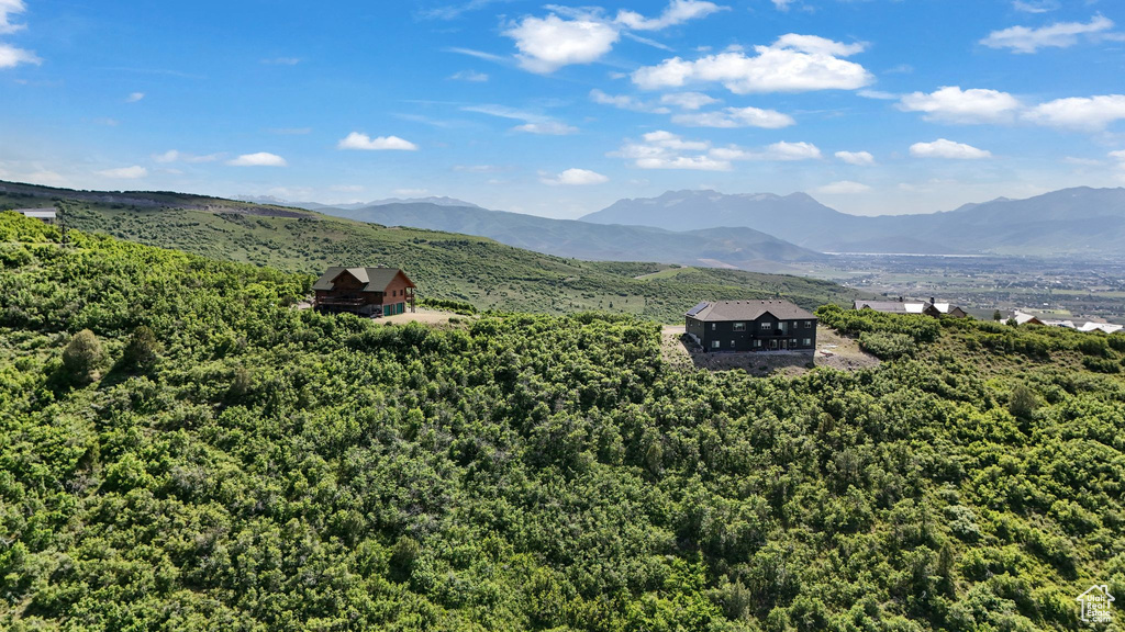 View of mountain backdrop with a heavily wooded area