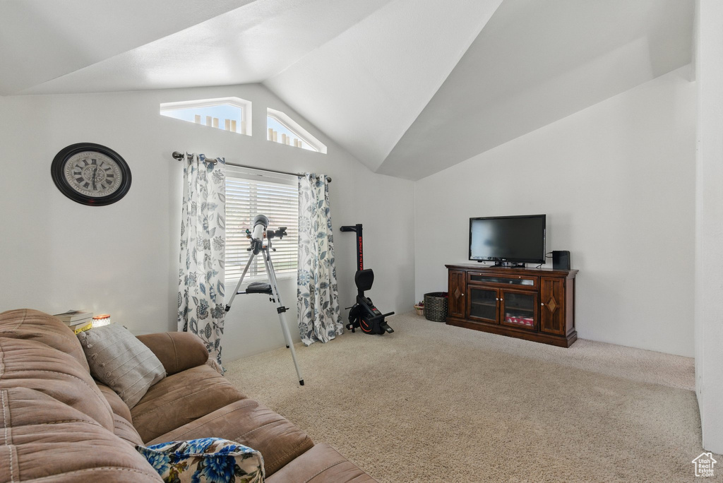 Carpeted living area with vaulted ceiling