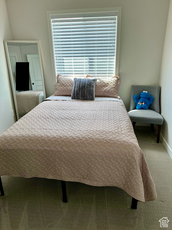 856 S 250 W American Fork, UT 84003