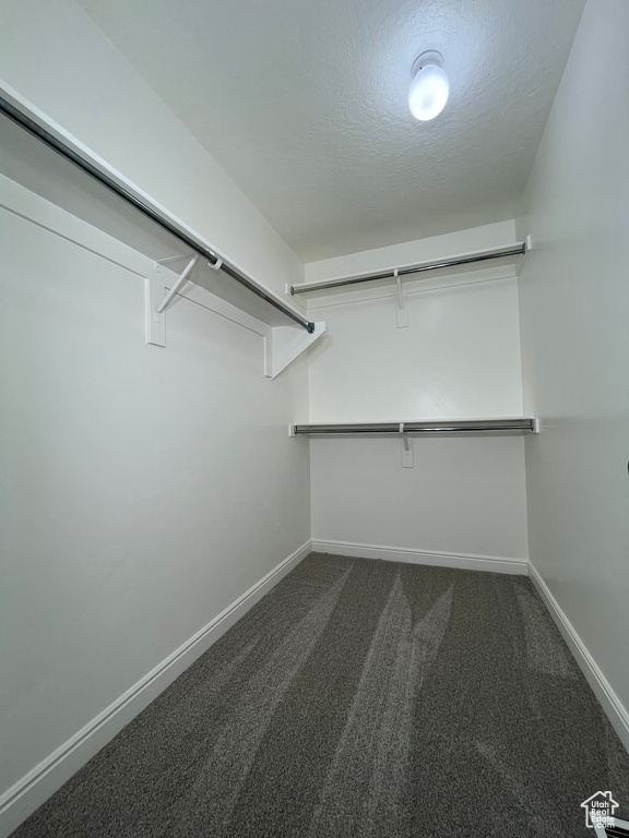 Walk in closet with dark colored carpet
