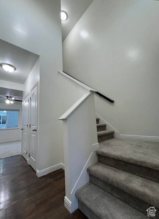 Stairs featuring wood-type flooring and a ceiling fan