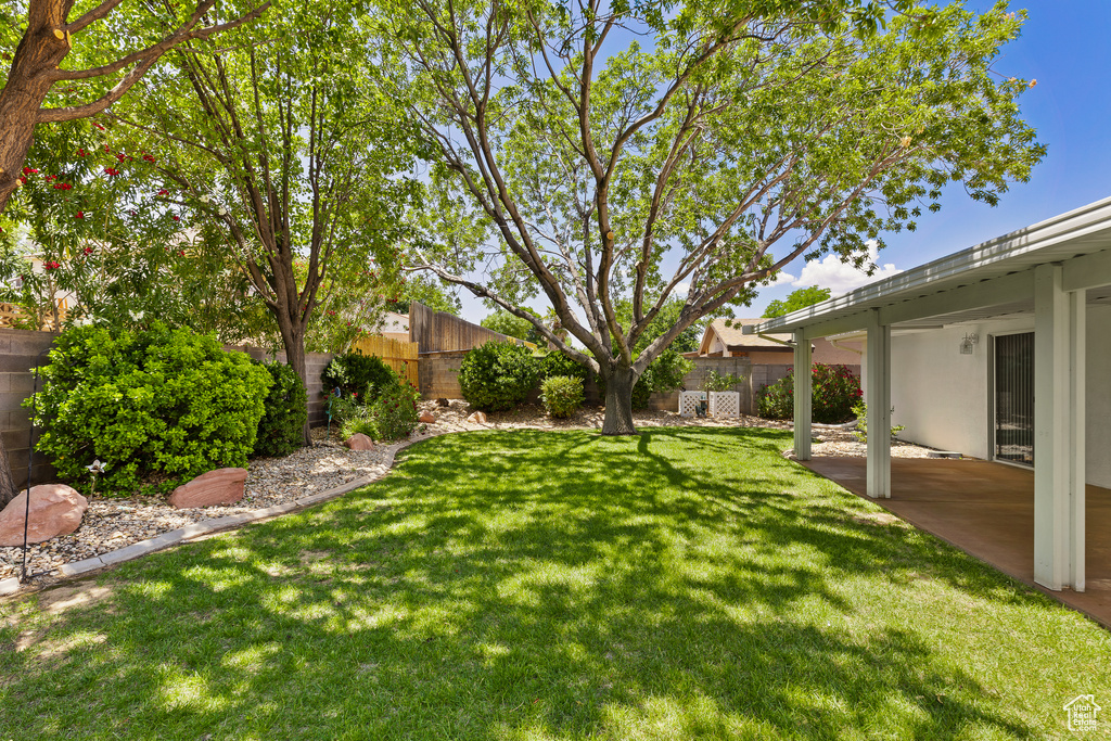 View of yard featuring a patio