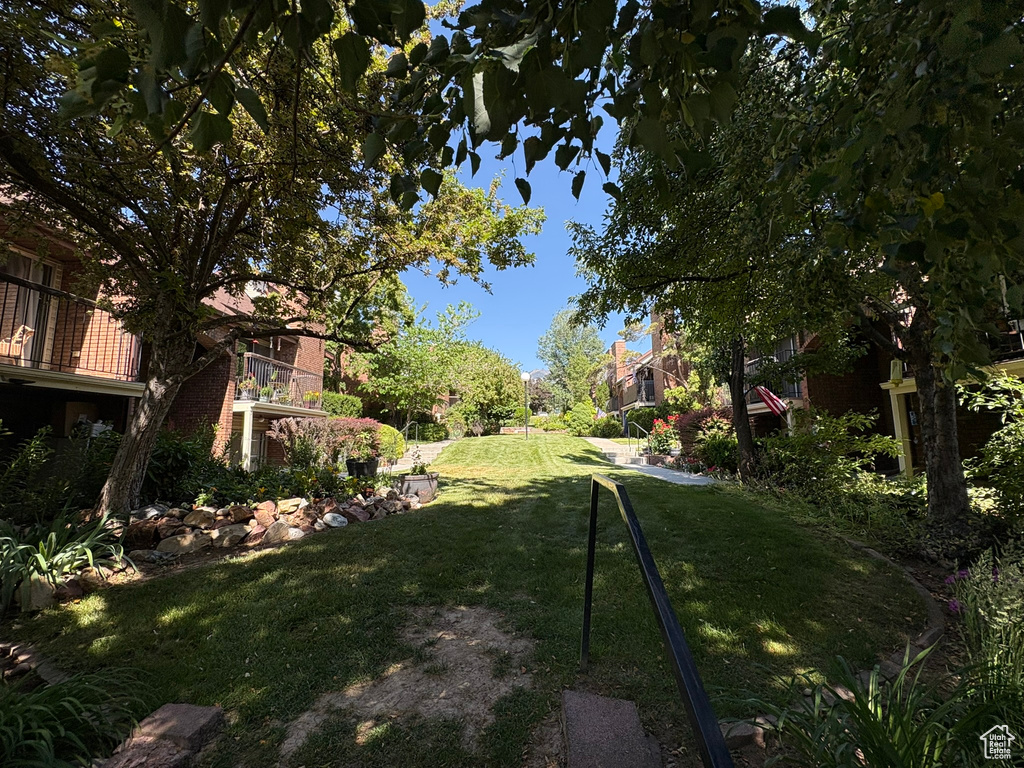 View of grassy yard