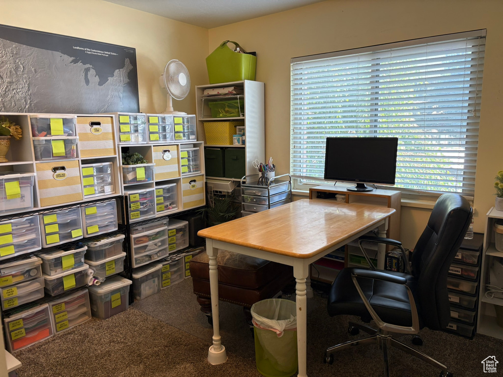 Office area featuring carpet floors