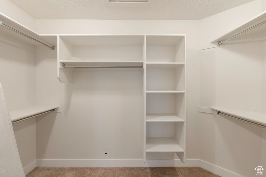 Spacious closet featuring light carpet