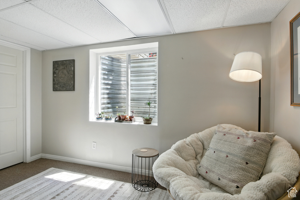 Living area with carpet flooring and a paneled ceiling