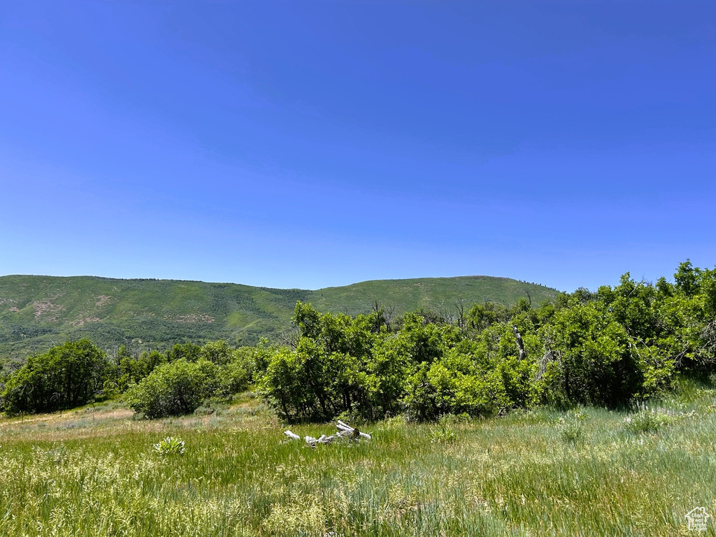 View of mountain backdrop with a forest