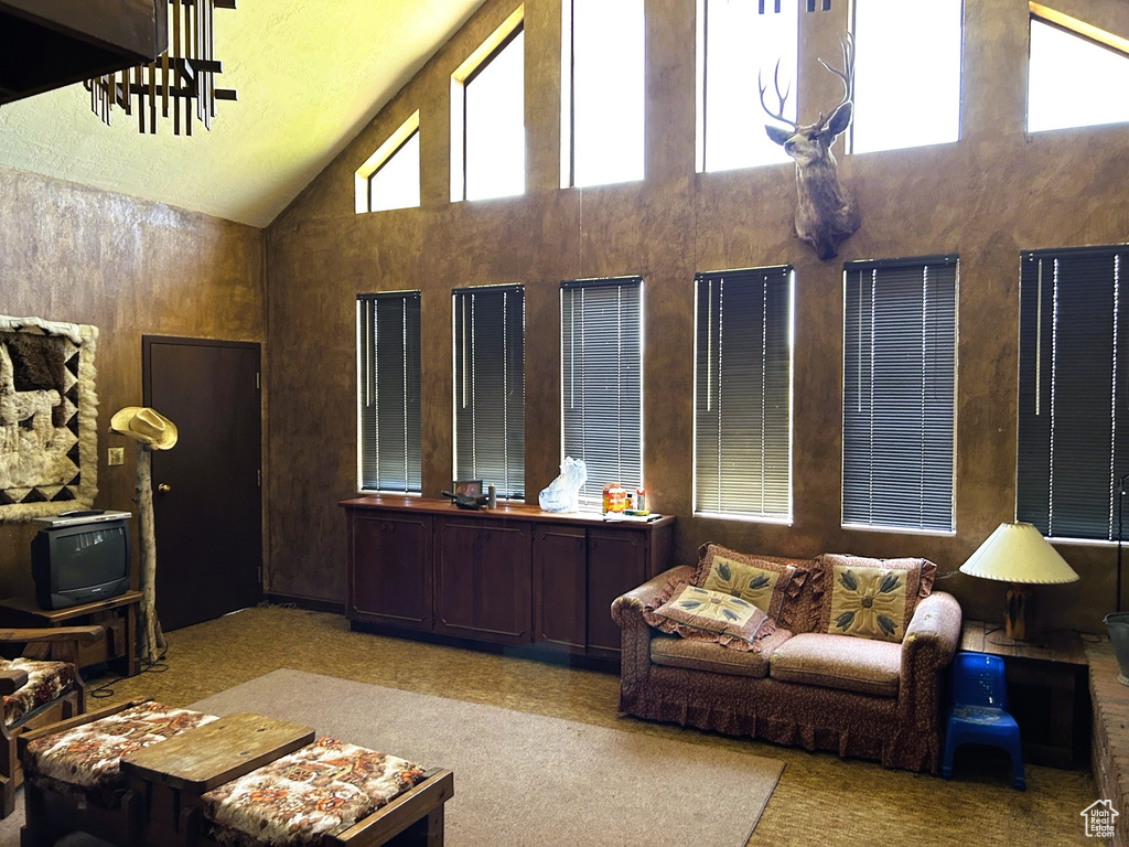 Living room with high vaulted ceiling