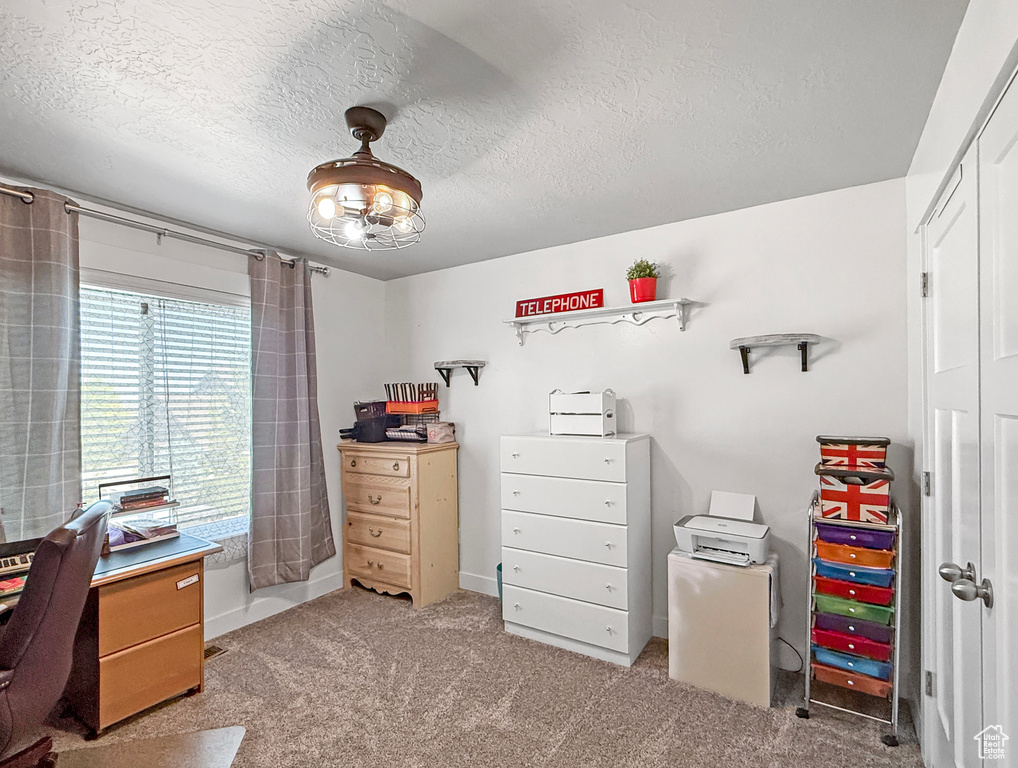 Office area with carpet and a textured ceiling