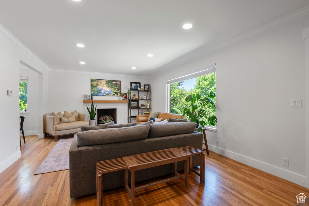 Living room featuring crown molding, light wood-type flooring, recessed lighting, and a fireplace