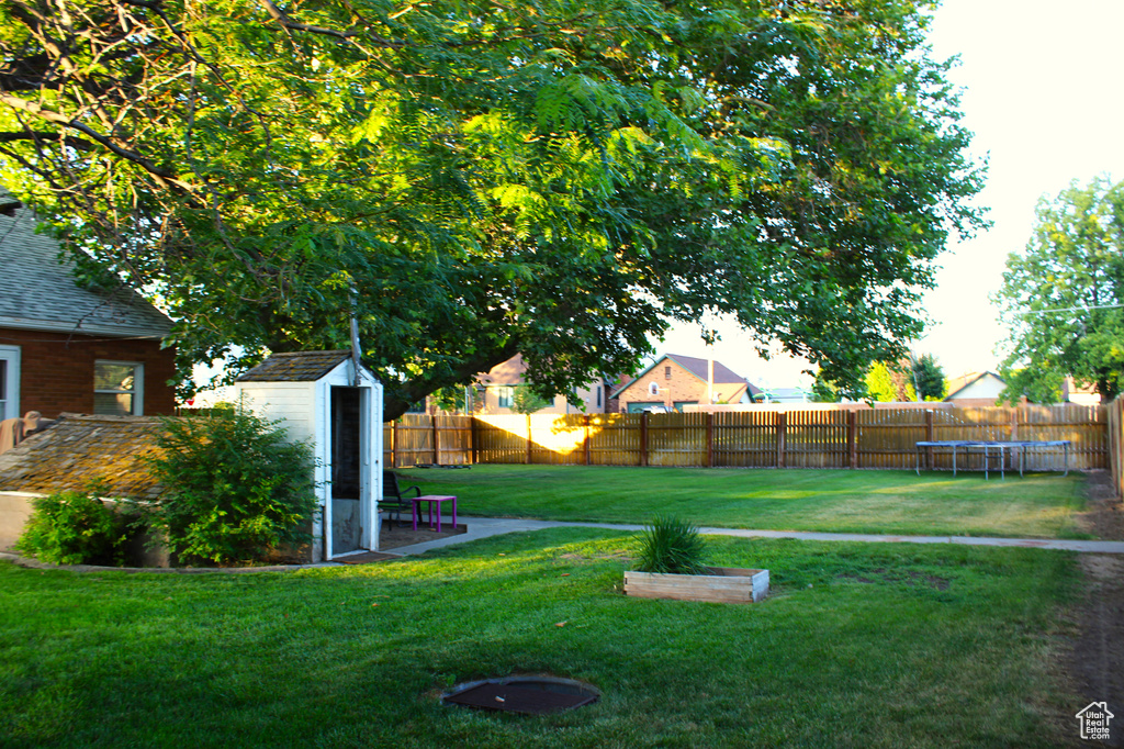 Fenced backyard with a trampoline and a storage unit