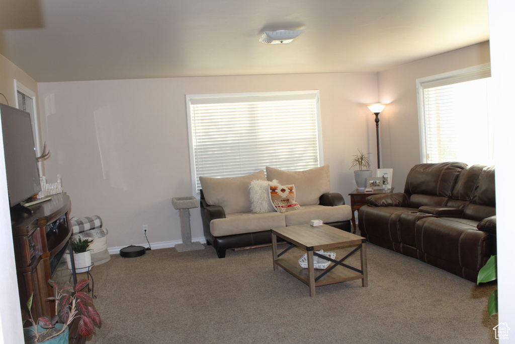 Carpeted living room with baseboards