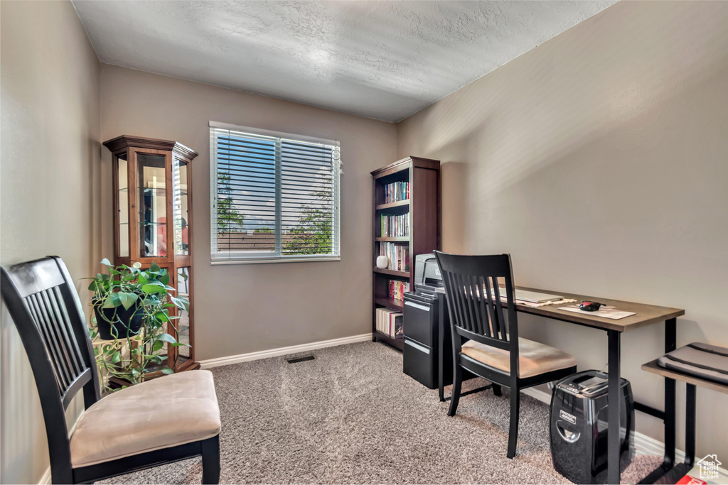 Carpeted office with baseboards and a textured ceiling
