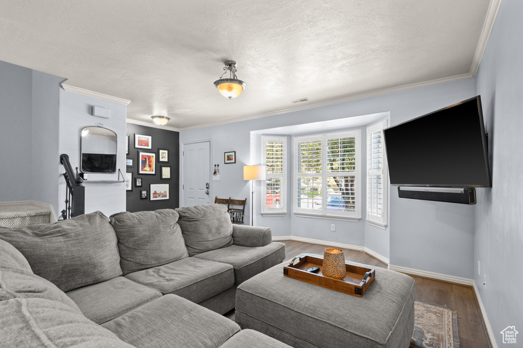 Living room featuring wood finished floors, crown molding, and a textured ceiling