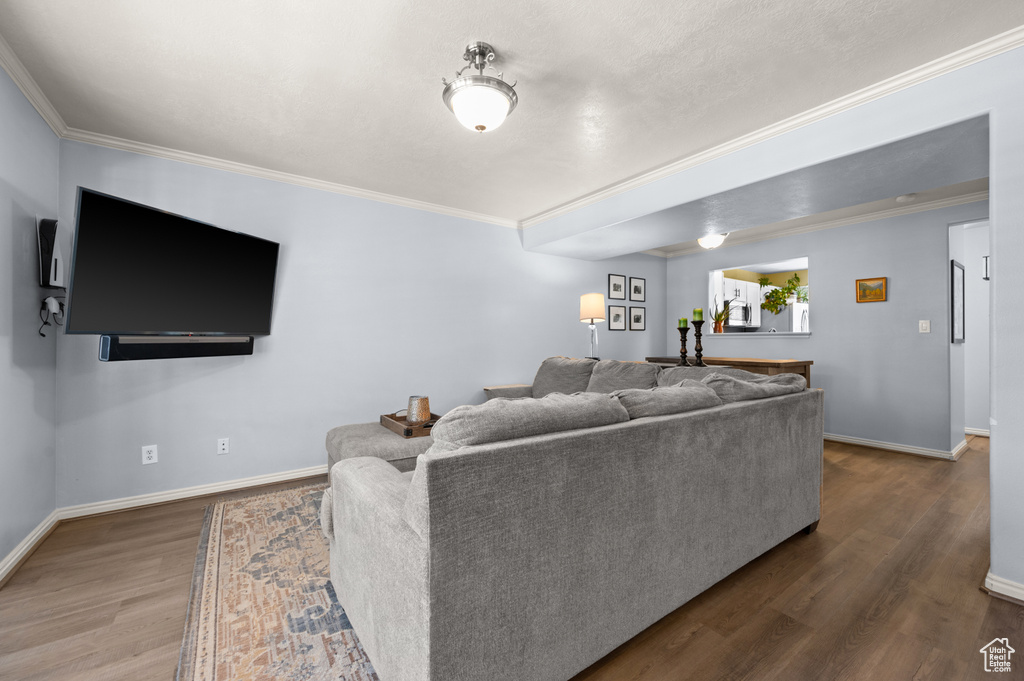 Living room featuring wood finished floors and ornamental molding