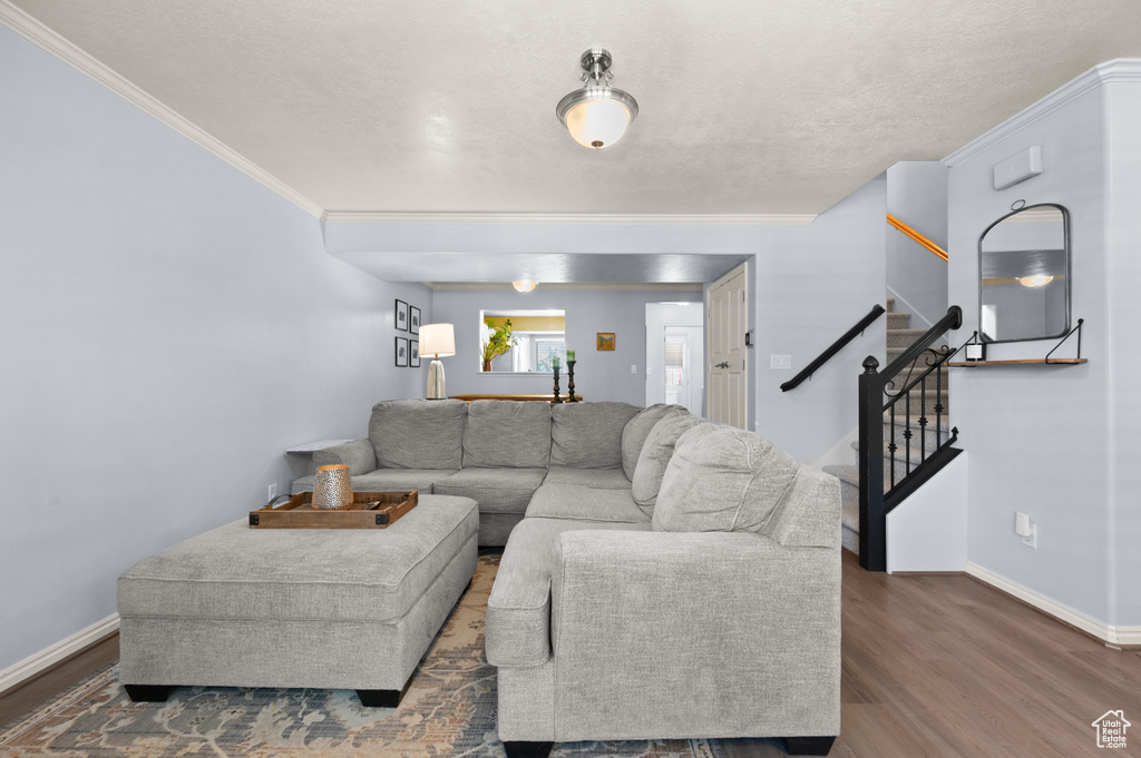 Living room with stairs, crown molding, wood finished floors, and a textured ceiling