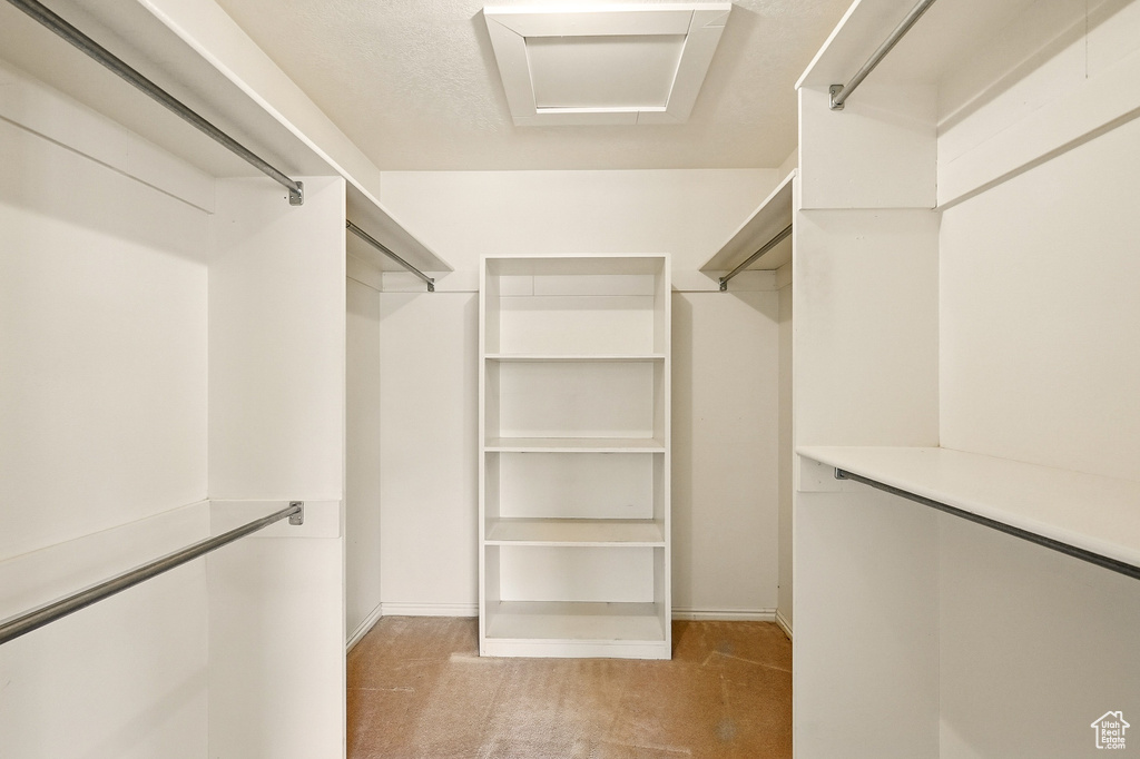 Spacious closet with light carpet