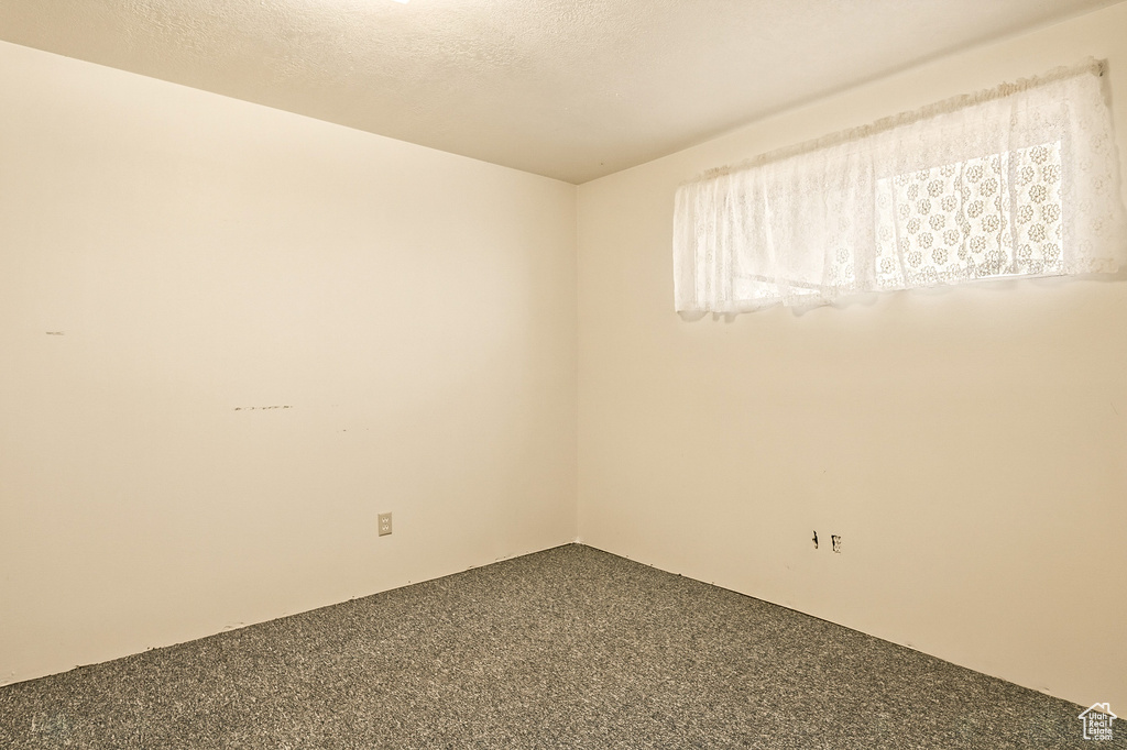 Unfurnished room with carpet floors and a textured ceiling