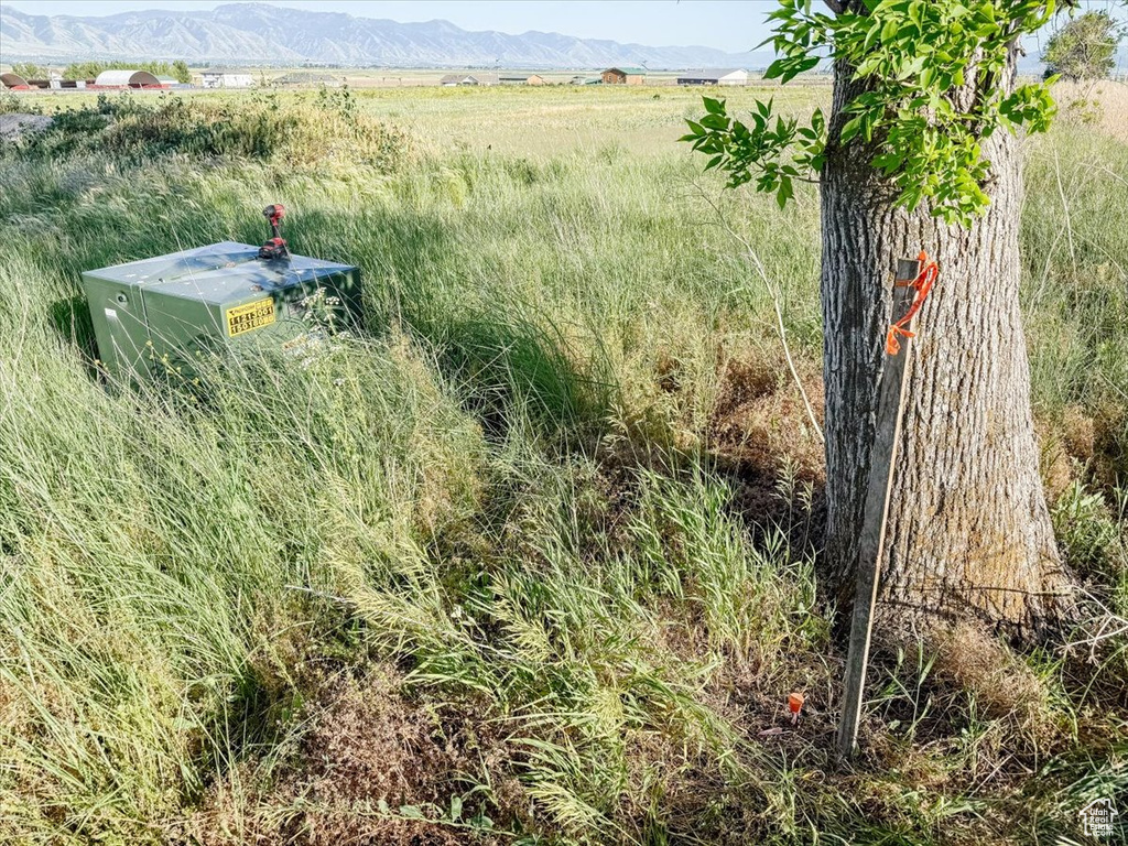 View of yard featuring a view of rural / pastoral area and a mountain view