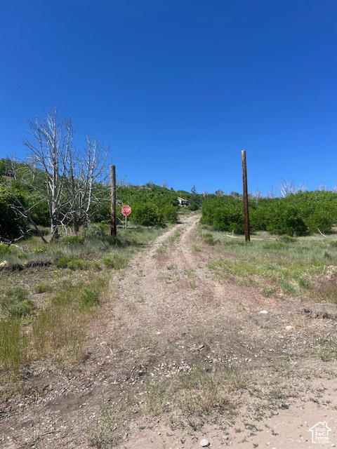 View of dirt / gravel road