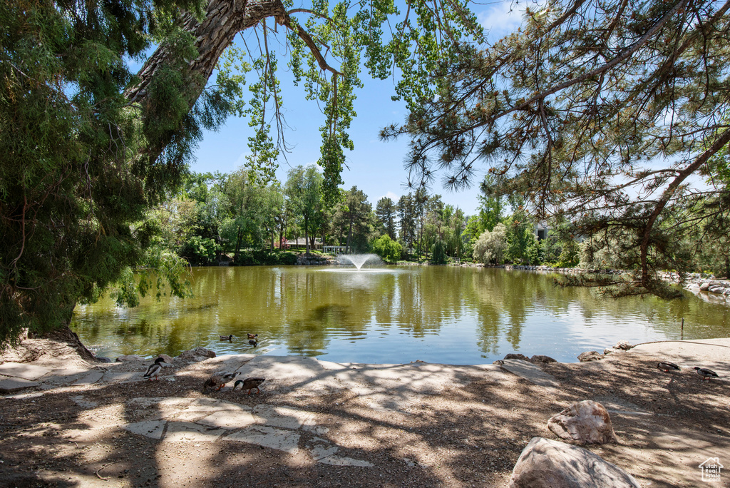 Water view