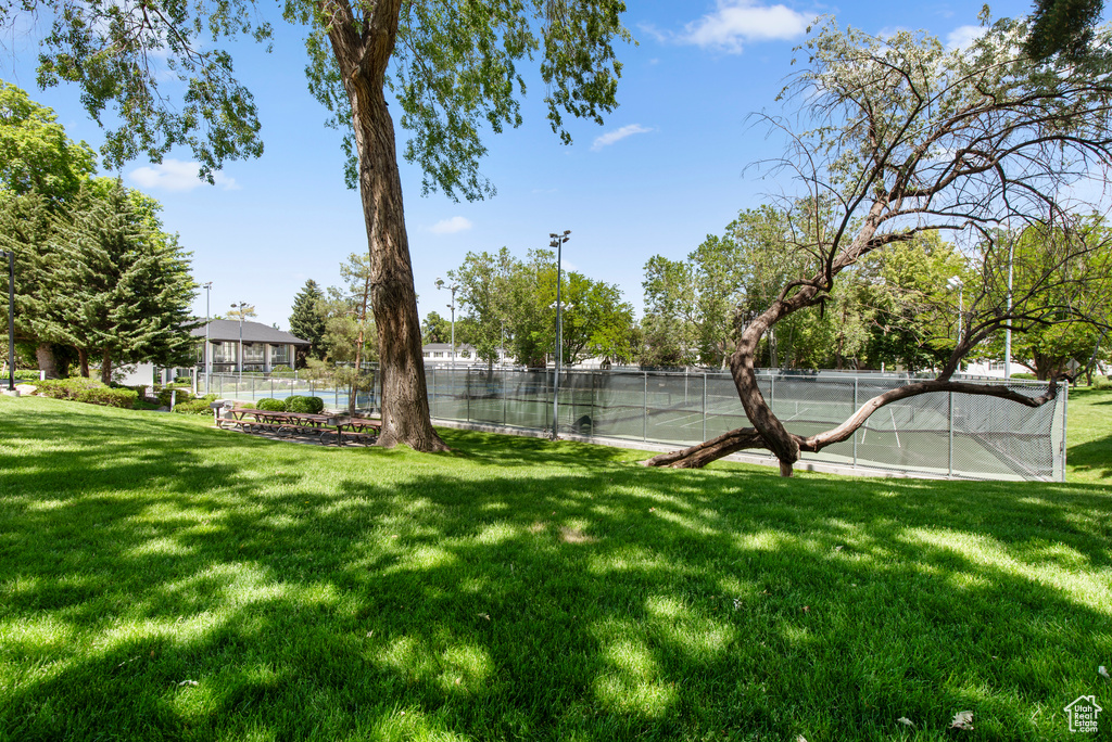 View of tennis court