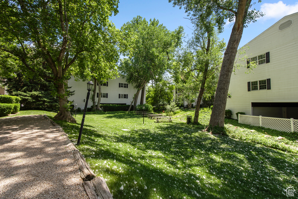 View of grassy yard