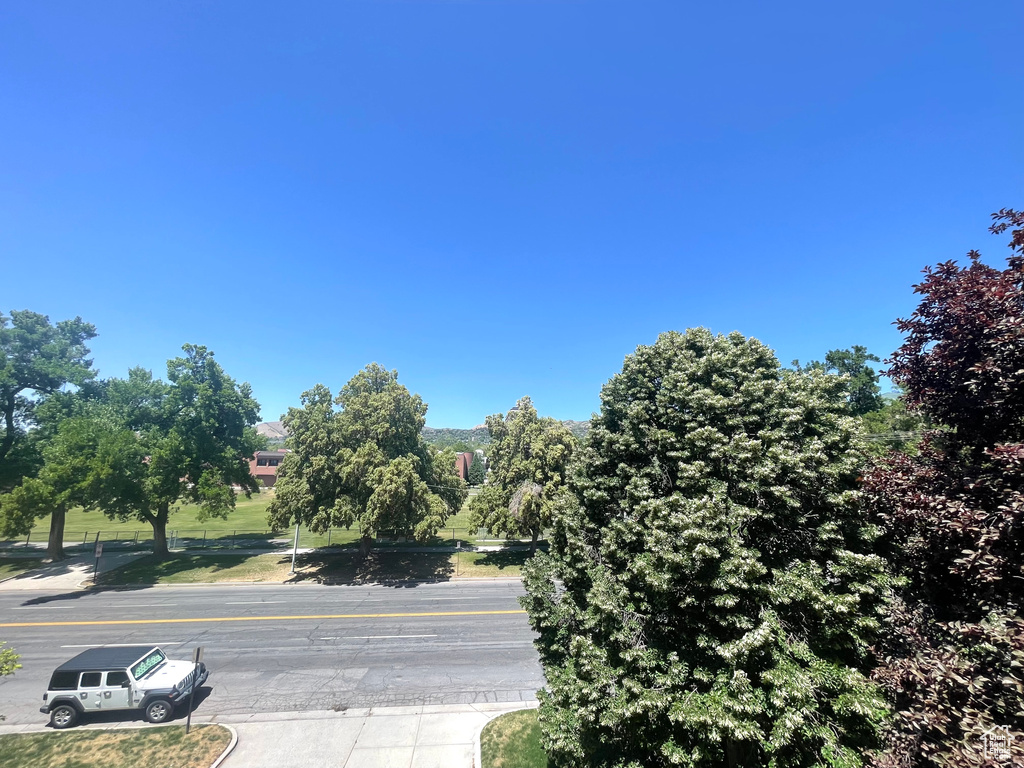 View of asphalt road with curbs and sidewalks