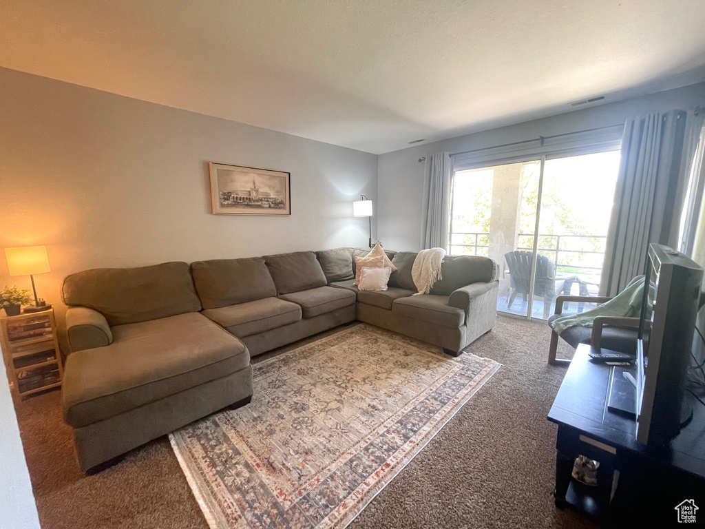 Living area featuring carpet floors