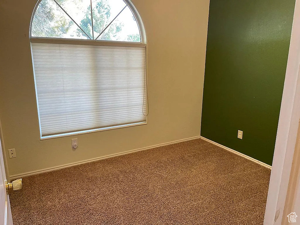 Unfurnished room featuring carpet floors