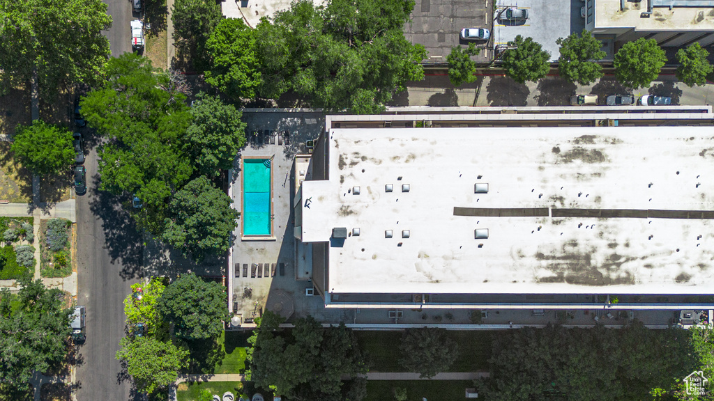Bird's eye view of a pool area